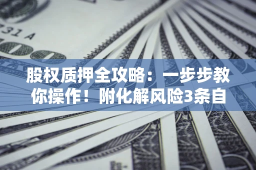 北京股权质押全攻略：一步步教你操作！附化解风险3条自救法则
