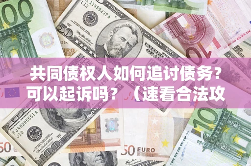 北京共同债权人如何追讨债务？可以起诉吗？（速看合法攻略）