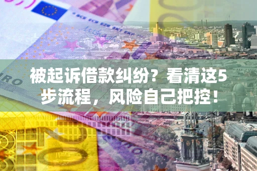 北京被起诉借款纠纷？看清这5步流程，风险自己把控！